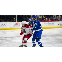 Wichita Thunder forward Dillon Hamaliuk (right) vs. the Allen Americans