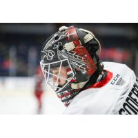 Rockford  IceHogs goaltender Arvid Soderblom