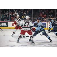 Grand Rapids Griffins' Austin Czarnik Battles Milwaukee Admirals' Adam Wilsby