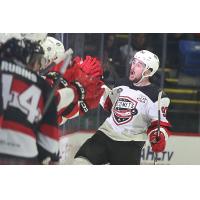 Utica Comets' Zach Senyshyn Celebrates Win With Team