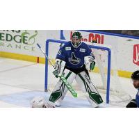 Idaho Steelheads goaltender Adam Scheel