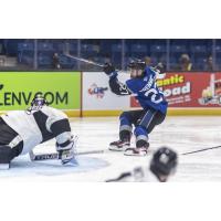 Saint John Sea Dogs forward Connor Trenholm