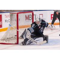 Winnipeg ICE goaltender Daniel Hauser