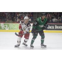 Grand Rapids Griffins left wing Tyler Spezia (left) vs. the Texas Stars