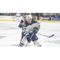 Maine Mariners forward Patrick Shea