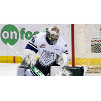 Victoria Royals goaltender Tyler Palmer