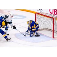 Saskatoon Blades' Austin Elliott in action