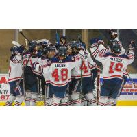 Johnstown Tomahawks celebrate a goal