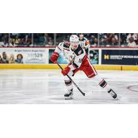 Grand Rapids Griffins left wing Jakub Vrana