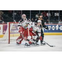 Grand Rapids Griffins' Alex Nedeljkovic And Albert Johansson On Game Night