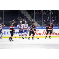 Belleville Senators and the Rochester Americans on the ice