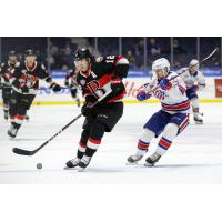 Belleville Senators' Cole Cassels in action