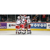 Grand Rapids Griffins celebrate a goal