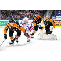 Rochester Americans' Filip Cederqvist Battles Lehigh Valley Phantoms' Adam Ginning, Wyatte Wylie And Felix Sandstrom