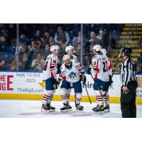 Springfield Thunderbirds on game night