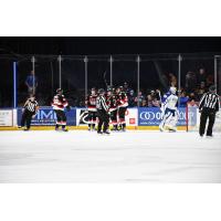 Belleville Senators celebrate win