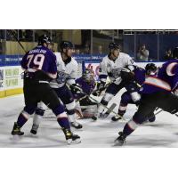 Worcester Railers battle the Reading Royals