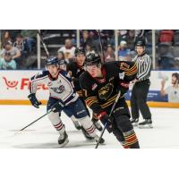 Vancouver Giants' Matty Edwards in action