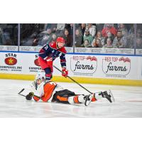 Jack Combs of the Allen Americans vs. the Kansas City Mavericks