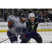 Jacksonville Lizard Kings battle the Greenville Swamp Rabbits