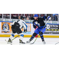 Wichita Thunder battle the Idaho Steelheads