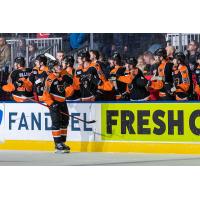 Lehigh Valley Phantoms' Olle Lycksell Congratulates Team