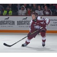 Peterborough Petes' Jonathan Melee on the ice