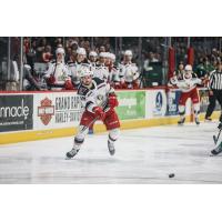 Grand Rapids Griffins' Seth Barton in action