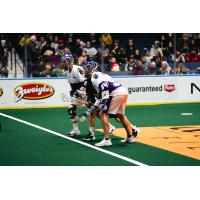 Panther City Lacrosse Club's Matt Hossack in action