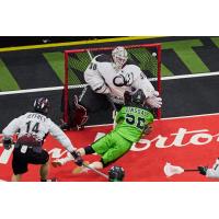 Saskatchewan Rush forward Marty Dinsdale shoots against the Colorado Mammoth