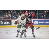 Grand Rapids Griffins battle the Iowa Wild