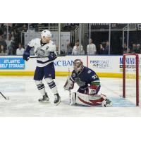 Jacksonville Icemen battle the Florida Everblades