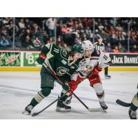 Iowa Wild's Adam Beckman battles grand rapids griffins' Joel L'Esperance