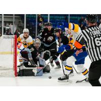 Saskatoon Blades battle the Portland Winterhawks