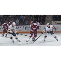 Peterborough Petes' Donovan McCoy battles Sarnia Sting's Luca DelBelBelluz and Sasha Pastujov