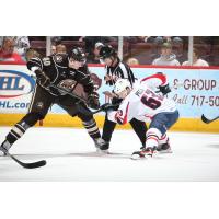 Hershey Bears' Aliaksei Protas Battles Springfield Thunderbirds' Matthew Peca