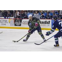 South Carolina Stingrays battle the Florida Everblades