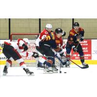 Wheeling Nailers' Bobby Hampton In Action