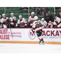 Belleville Senators' Angus Crookshank Congratulates Team