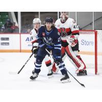 Manitoba Moose's Alex Limoges and Belleville Senators' Jacob Bernard-Docker and Mads Sogaard on game night