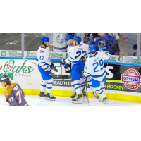 Wichita Thunder gather following a goal