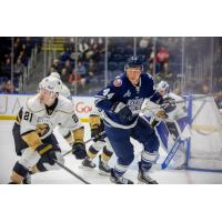 Worcester Railers defenseman Jake Schultz (right) vs. the Newfoundland Growlers