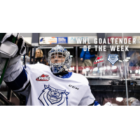 Victoria Royals goaltender Braden Holt