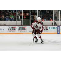 Peterborough Petes defenceman Brian Zanetti