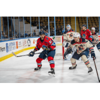 Springfield Thunderbirds' Martin Frk In Action