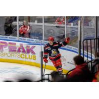 Grand Rapids Griffins' Danny O'Regan on game night