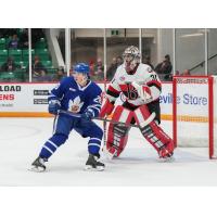 Toronto Marlies' Nick Abruzzese and Belleville Senators' Goalie Kevin Mandolese in action