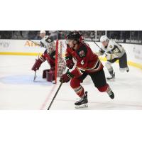 Tucson Roadrunners' Cam Dineen in action