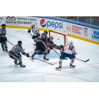 Springfield Thunderbirds battle the Rockford IceHogs