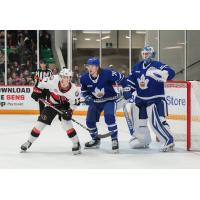 Belleville Senators' Ridly Greig and Toronto Marlies' Adam Gaudette and Erik KÃ¤llgren in action